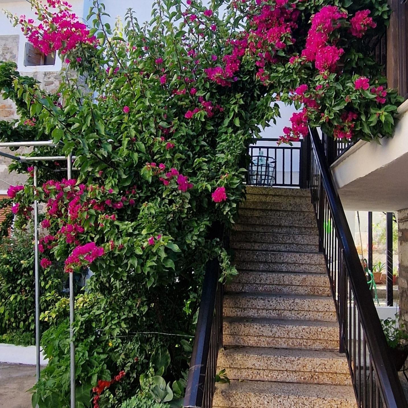 Nikolaos House Áyios Nikólaos Exterior foto